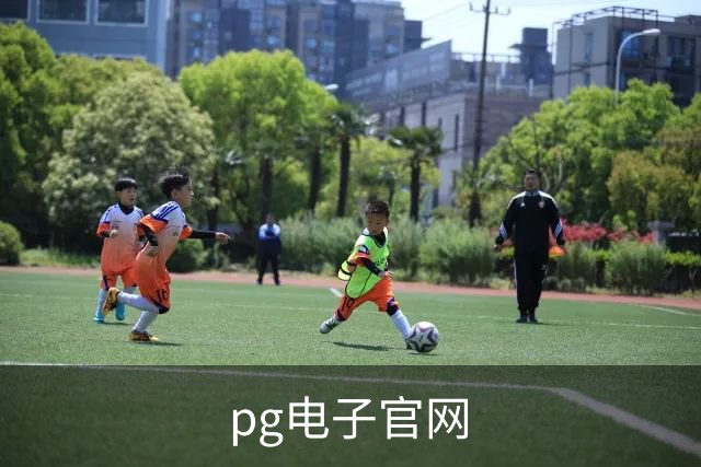 关于pg电子官网